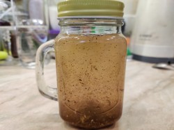 Настойка на корне калгана на самогоне - шаг 7 Настойка на корне калгана на самогоне - шаг 7