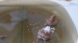 Нежный фруктовый десерт с шоколадом и сыром - шаг 9