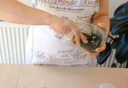 Маринованные огурцы без стерилизации на зиму с уксусом - шаг 4 Маринованные огурцы без стерилизации на зиму с уксусом - шаг 4