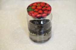 Пчелиный подмор настойка на водке - шаг 5 Пчелиный подмор настойка на водке - шаг 5