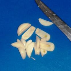 Рулет из свиного сала без термообработки - шаг 2