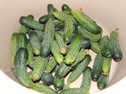 Салат из огурцов Зимний король на зиму - шаг 1