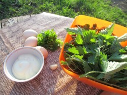 Салат из крапивы с яйцами на скорую руку - шаг 2 Салат из крапивы с яйцами на скорую руку - шаг 2