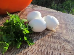 Салат из крапивы с яйцами на скорую руку - шаг 5 Салат из крапивы с яйцами на скорую руку - шаг 5