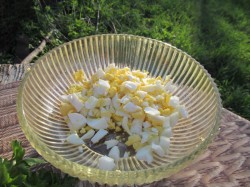 Салат из крапивы с яйцами на скорую руку - шаг 6 Салат из крапивы с яйцами на скорую руку - шаг 6