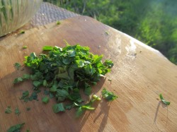 Салат из крапивы с яйцами на скорую руку - шаг 8 Салат из крапивы с яйцами на скорую руку - шаг 8