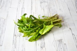 Салат с курицей, персиками, моцареллой и рукколой - шаг 6 Салат с курицей, персиками, моцареллой и рукколой - шаг 6