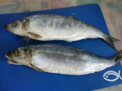 Посол селедки в домашних условиях - шаг 1 Посол селедки в домашних условиях - шаг 1