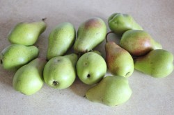 Сок из груш на зиму из соковыжималки - шаг 1