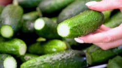 Соленые огурцы с острым стручковым перцем и чесноком на зиму - шаг 1 Соленые огурцы с острым стручковым перцем и чесноком на зиму - шаг 1