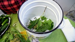 Соленые огурцы с острым стручковым перцем и чесноком на зиму - шаг 2 Соленые огурцы с острым стручковым перцем и чесноком на зиму - шаг 2