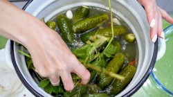 Соленые огурцы с острым стручковым перцем и чесноком на зиму - шаг 6 Соленые огурцы с острым стручковым перцем и чесноком на зиму - шаг 6