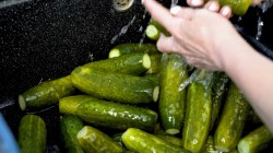 Соленые огурцы с острым стручковым перцем и чесноком на зиму - шаг 7 Соленые огурцы с острым стручковым перцем и чесноком на зиму - шаг 7