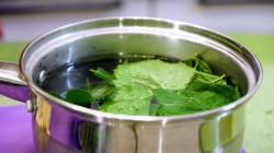 Соленые огурцы с острым стручковым перцем и чесноком на зиму - шаг 9 Соленые огурцы с острым стручковым перцем и чесноком на зиму - шаг 9