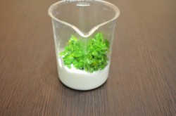 Соус Цахтон - шаг 2