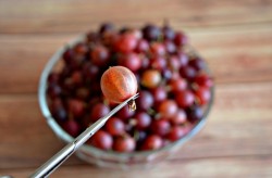 Соус из крыжовника к мясу на зиму домашний - шаг 2 Соус из крыжовника к мясу на зиму домашний - шаг 2