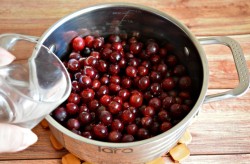 Соус из крыжовника к мясу на зиму домашний - шаг 3 Соус из крыжовника к мясу на зиму домашний - шаг 3