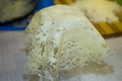 Сырные корзинки для салата - шаг 10 Сырные корзинки для салата - шаг 10