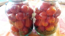 Помидоры с морковной ботвой и лаврушкой на зиму - шаг 4 Помидоры с морковной ботвой и лаврушкой на зиму - шаг 4