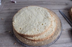 торт Собачка - шаг 2