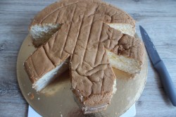 торт Собачка - шаг 7