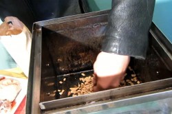 Утка горячего копчения - шаг 4 Утка горячего копчения - шаг 4