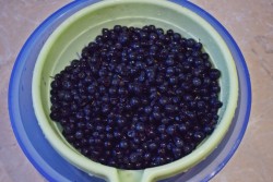 Черничное варенье из черники пятиминутка на зиму - шаг 2 Черничное варенье из черники пятиминутка на зиму - шаг 2