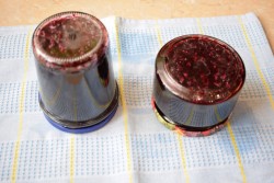 Черничное варенье из черники пятиминутка на зиму - шаг 7 Черничное варенье из черники пятиминутка на зиму - шаг 7