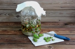 Варенье из сосновых или еловых шишек - шаг 11 Варенье из сосновых или еловых шишек - шаг 11