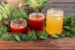 Варенье из сосновых или еловых шишек - шаг 13 Варенье из сосновых или еловых шишек - шаг 13