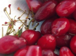 Варенье из кизила с косточкой на зиму - шаг 3