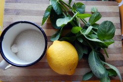 Варенье из мяты с лимоном на зиму - шаг 1