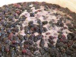 Варенье из шелковицы тутовника с лимонной кислотой - шаг 10