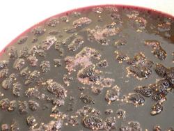 Варенье из шелковицы тутовника с лимонной кислотой - шаг 11