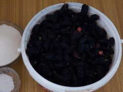 Варенье из шелковицы тутовника с лимонной кислотой - шаг 1