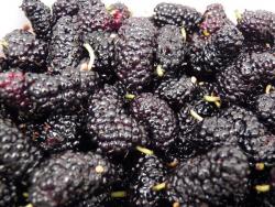 Варенье из шелковицы тутовника с лимонной кислотой - шаг 2