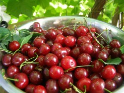 Простое варенье из вишни с косточкой - шаг 1