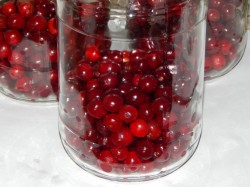 Варенье из войлочной вишни с косточками - шаг 1 Варенье из войлочной вишни с косточками - шаг 1