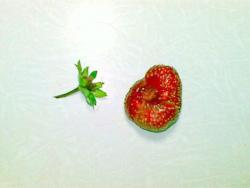 Варенье пятиминутка из клубники - шаг 3