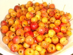 Варенье с крахмалом из райских яблок - шаг 5 Варенье с крахмалом из райских яблок - шаг 5