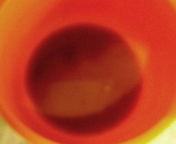 Веганские блинчики с какао - шаг 3 Веганские блинчики с какао - шаг 3