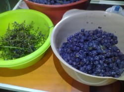 Виноградный уксус в домашних условиях - шаг 2