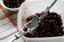 Вяленая вишня в домашних условиях - шаг 2 Вяленая вишня в домашних условиях - шаг 2