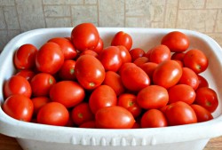 Вяленые помидоры в сушилке для овощей на зиму - шаг 1 Вяленые помидоры в сушилке для овощей на зиму - шаг 1
