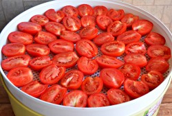 Вяленые помидоры в сушилке для овощей на зиму - шаг 4 Вяленые помидоры в сушилке для овощей на зиму - шаг 4