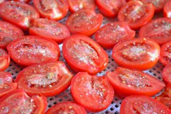 Вяленые помидоры в сушилке для овощей на зиму - шаг 5 Вяленые помидоры в сушилке для овощей на зиму - шаг 5