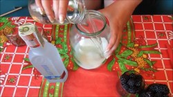 Ягодная наливка из ежевики на водке - шаг 2 Ягодная наливка из ежевики на водке - шаг 2