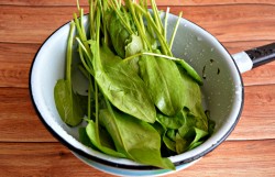 Консервированный щавель на зиму - шаг 2 Консервированный щавель на зиму - шаг 2