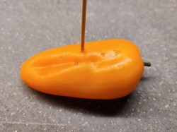 Жареный болгарский перец на зиму - шаг 1