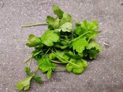 Жареный болгарский перец на зиму - шаг 4